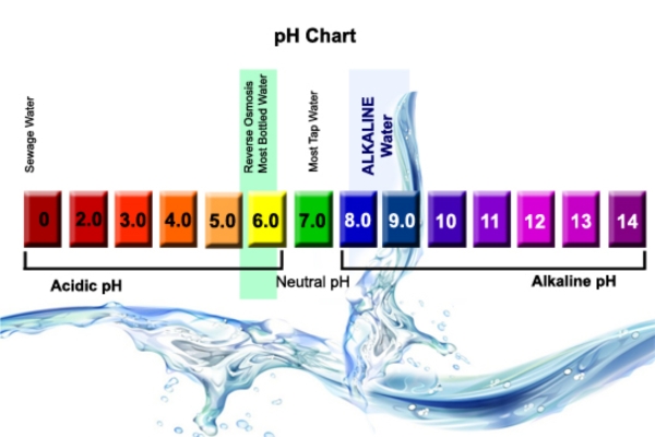 Balances the amount of acid and alkalinity in the body