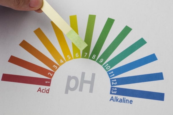 Alkaline ionized water pH levels