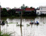 Typhoon Damrey wreaks havoc on central and south-central Vietnam