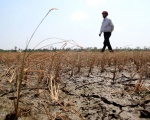 Vietnam drought leaves one million in urgent need of food aid: EU