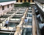 Japan to help Hanoi improve underground water quality