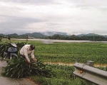  Bình Định: Hơn 300 hộ dân mòn mỏi chờ nước sạch