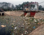Báo động tình trạng ô nhiễm môi trường sông Bắc Hưng Hải