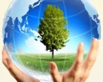 6 nhóm giải pháp lâu dài để bảo vệ môi trường và phát triển bền vững