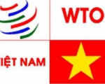 VN grateful for WTO affiliation