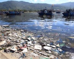 Coastal Đà Nẵng faces severe pollution problems