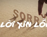 Bày tỏ thái độ xin lỗi như thế nào