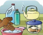 Tầm quan trọng của vệ sinh an toàn thực phẩm đối với sức khỏe