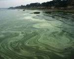 Thực trạng và giải pháp cho vấn đề ô nhiễm môi trường nước ở Việt Nam